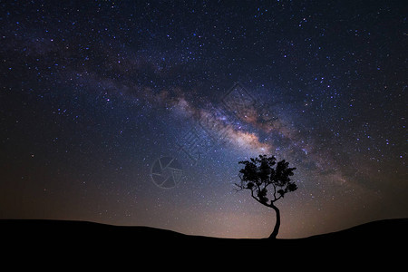 带乳状星系和宇宙中空间尘的树平面图图片