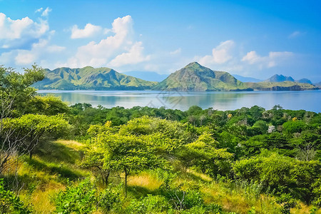 印度尼西亚科莫多岛的绿红丛林山区沿海景观图片