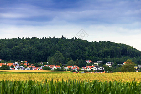 德国春天农村风景绿色农村多云的天空可爱的树木清图片
