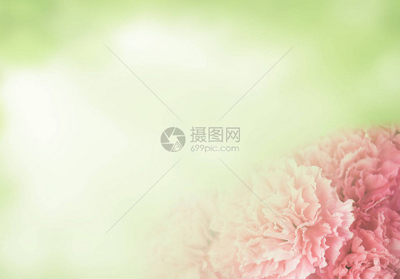 带有粉红康乃馨的请柬婚礼卡模板花卉背景图片