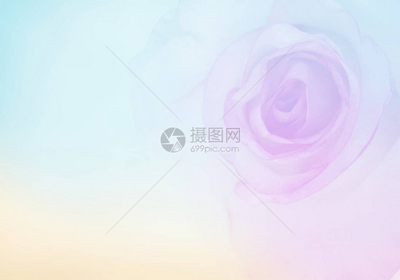 带有模糊玫瑰柔和色彩的邀请卡婚礼卡模板花卉背景用鲜图片