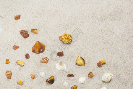沙滩上的琥珀和贝壳碎片图片