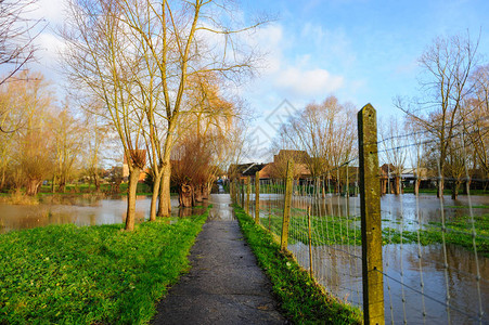 比利时东佛兰德省在新年春雨过后发生洪图片
