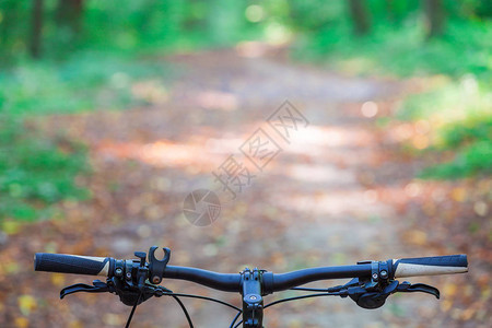森林中的山地自行车图片