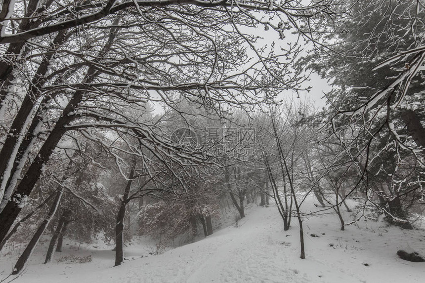 埃特纳火山在冬天与雪图片