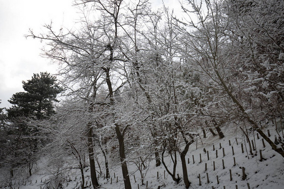 埃特纳火山在冬天与雪图片