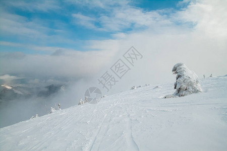 九寨沟冬景山顶的冰冻树山上云雾雪山地风背景