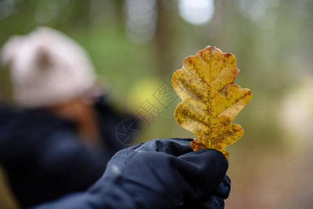 秋天在森林中享受大自然图片