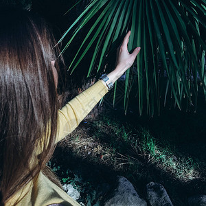 穿着黄色毛衣的长发年轻女子触摸绿色棕榈叶的景象图片