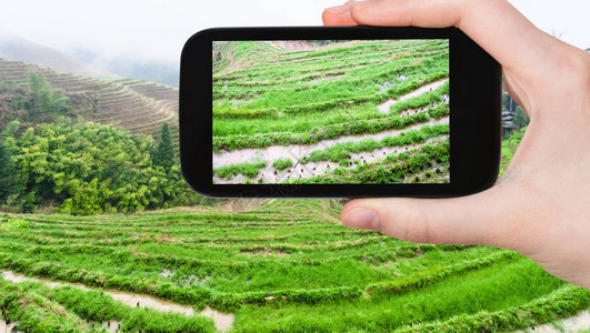旅游概念游客用智能手机拍摄大寨龙胜图片