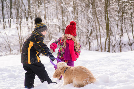 女孩男孩列车斗鸡贝尼猎犬雪地图片