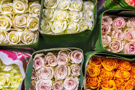 数以百计的五颜六色的玫瑰用纸包着鲜花背景花卉种植和生产业务批发和零售贸易鲜图片
