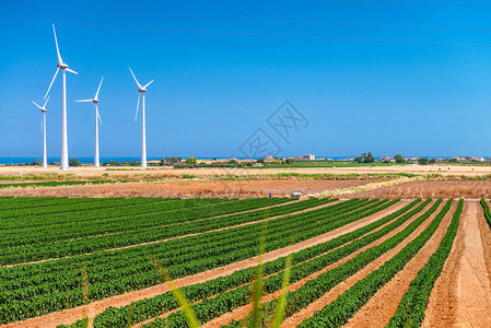 夏季乡村风光的工业风车图片