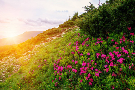 与太阳的山风景图片