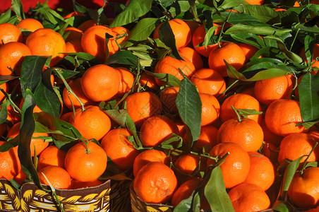 橙色橘子柑橘红番茄干Citrusmangerina背景图片