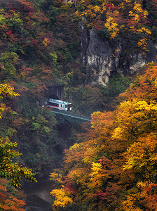 在日本下雨交通与风景概念的多彩秋天季节中图片