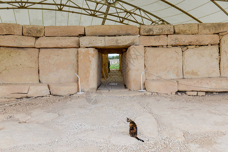 HagarQim在马耳他岛上发现的巨石寺院建筑群图片