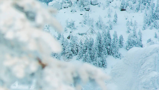 滑雪胜地的雪山峰和树木视频树枝顶端覆盖着冬日的白雪图片