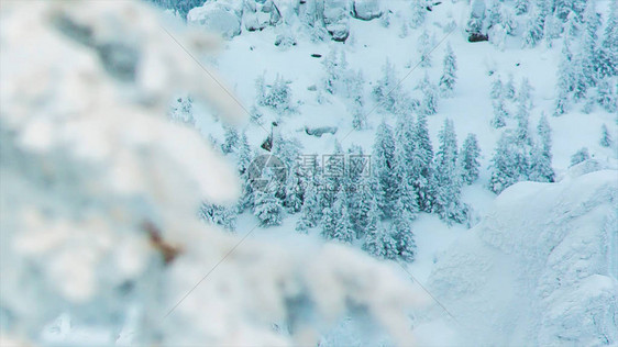 滑雪胜地的雪山峰和树木视频树枝顶端覆盖着冬日的白雪图片