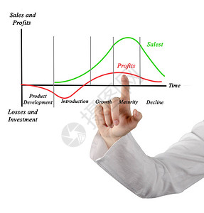 展示销售和利润的女图片