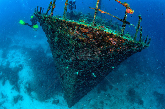 潜水员在马尔代夫沉船水下潜水图片