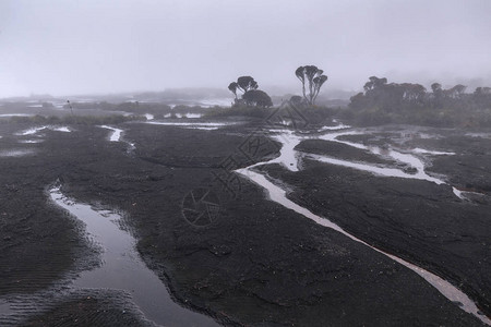 委内瑞拉罗赖马山的雾和雨背景图片