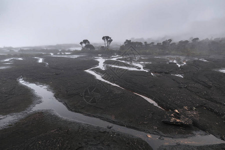 委内瑞拉罗赖马山的雾和雨图片