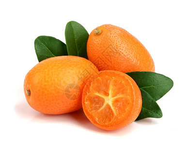 金橘或金橘叶子在白色背景上分离特写图片