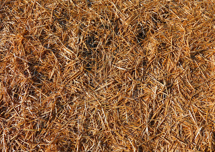 稻草和干草在马厩里的背景图片