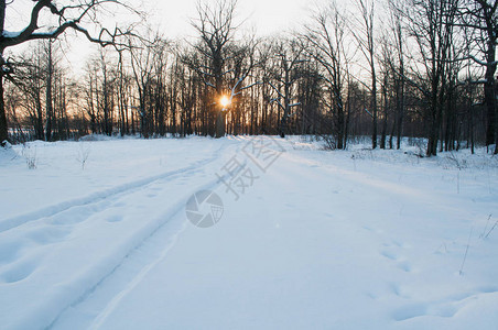 景观与冬季森林和太阳光线冬天的路日出图片
