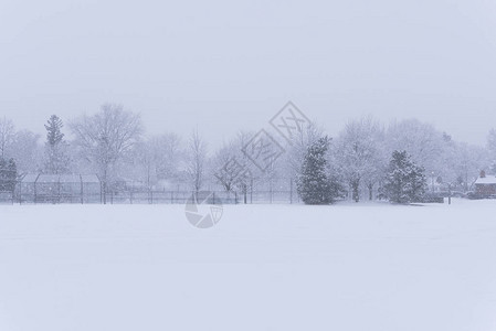 在一个公园的郊区学校田地冬季大雪下着一图片