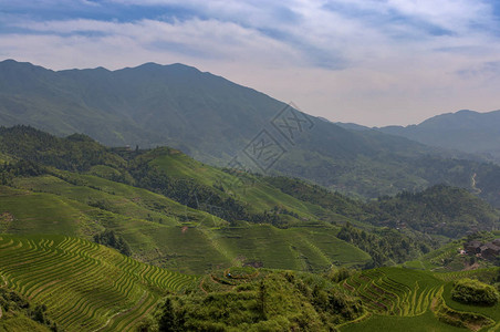 广西大寨村附近的龙胜梯田背景图片