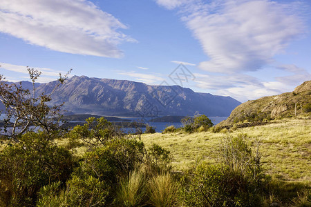 智利卡雷拉湖附近的金色草地和山脉图片