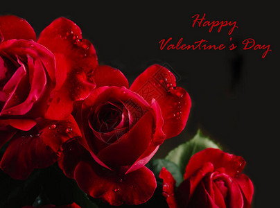 在黑色上的红玫瑰花束特写与copyspace情人节贺卡设计情人节假期创意概念与鲜背景图片