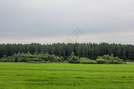 田野里的夏日风景绿草如茵的天空图片