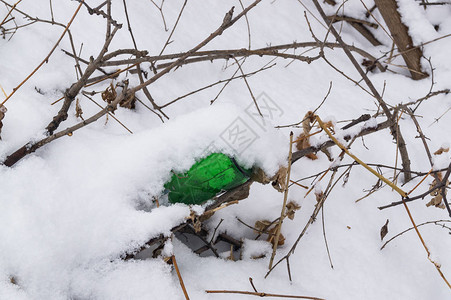 森林大自然雪下的垃圾垃圾一瓶玻璃和塑料乱扔垃图片