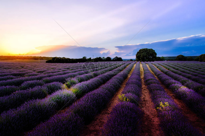 瓜达拉哈Brihuega的高清图片下载正版图片505143112摄图网