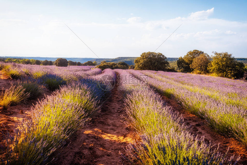 瓜达拉哈Brihuega的高清图片下载正版图片505143113摄图网