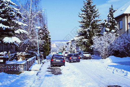 美丽的冬季景观与丰富的雪花图片