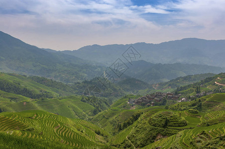广西省达海村附近长正大稻田景观图片