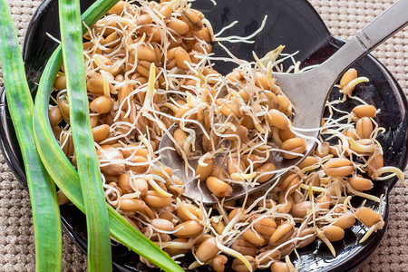 小麦发芽健康食品增强免疫力图片
