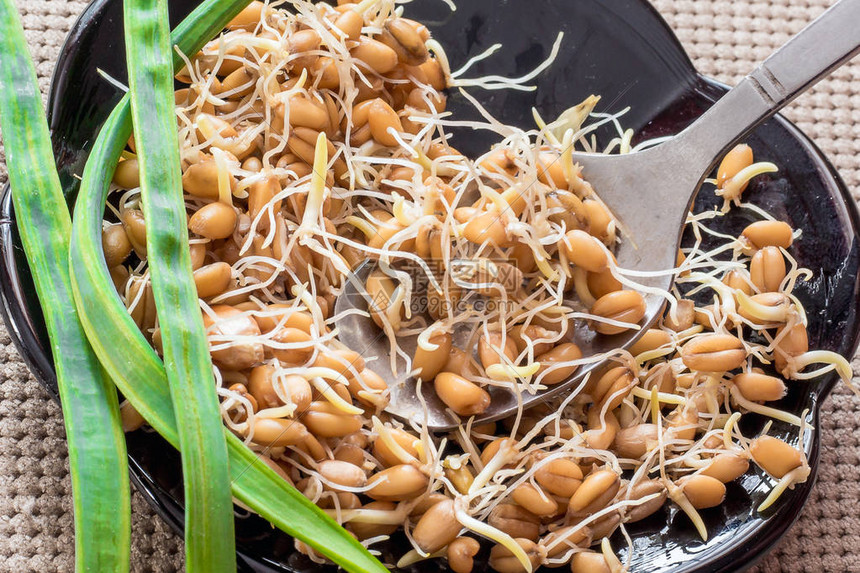 小麦发芽健康食品增强免疫力图片