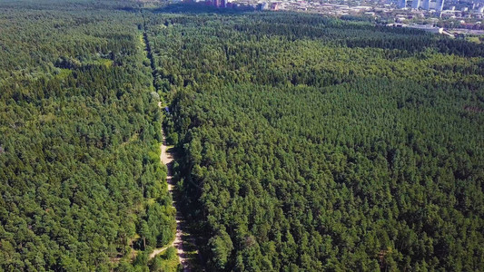 鸟瞰无限空间的森林平原和在高速公路上行驶的汽车夹子在秋季森林鸟瞰图的道路森林之间的道路图片