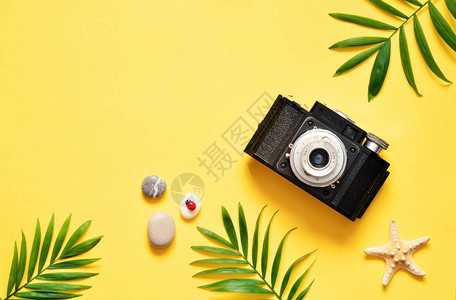 热带背景棕榈树分支照相机和黄色背景的贝壳旅图片
