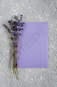 假冒日背景一堆熏衣草花和紫色空白贺卡复制文本空间图片