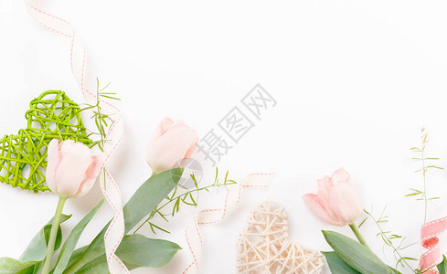 白色背景上的节日花粉红色郁金香组成图片