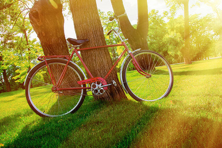 日落时红色自行车站在公园树旁公图片