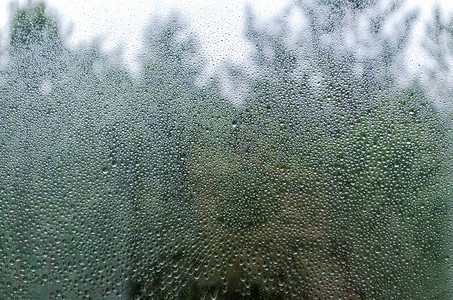 周四夏雨过后落在窗户上图片