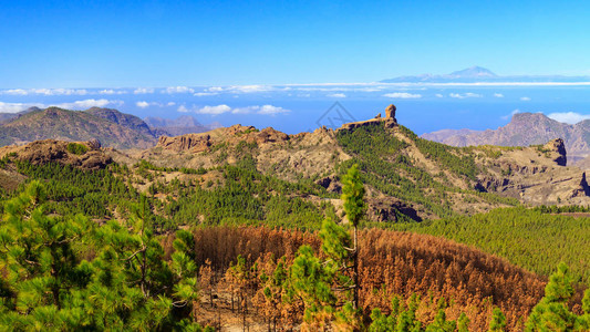 大加那利岛上的火山景观图片