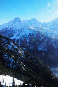 丛林伊热和蒙赫山峰瑞士阿尔图片